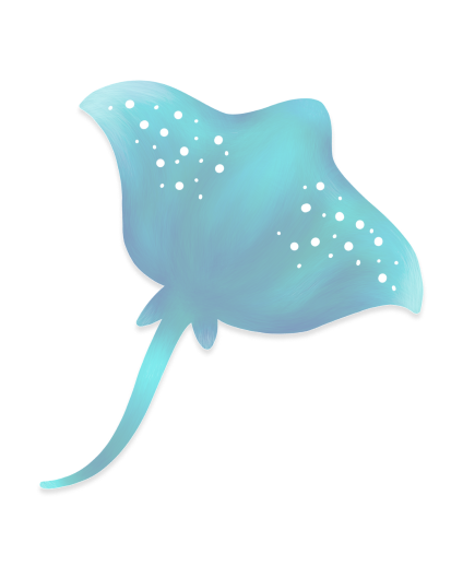 Manta Ray